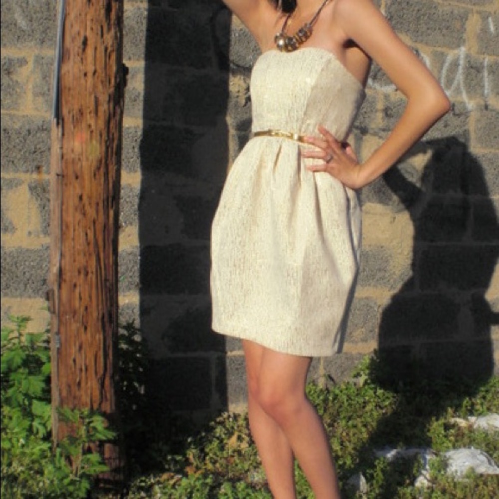 NWOT Gold and cream H&M dress. 8